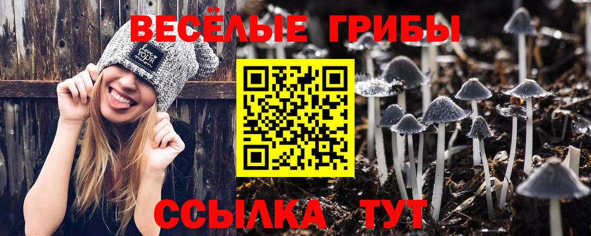 Галлюциногенные грибы Cubensis Урус-Мартан