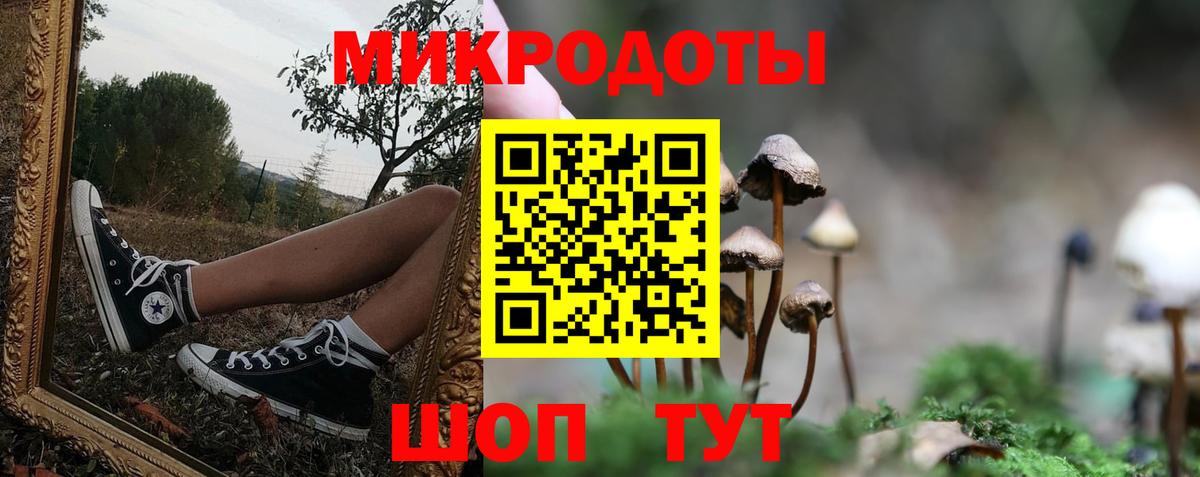 Урус-Мартан  Галлюциногенные грибы ЛСД  Вход с VPN 